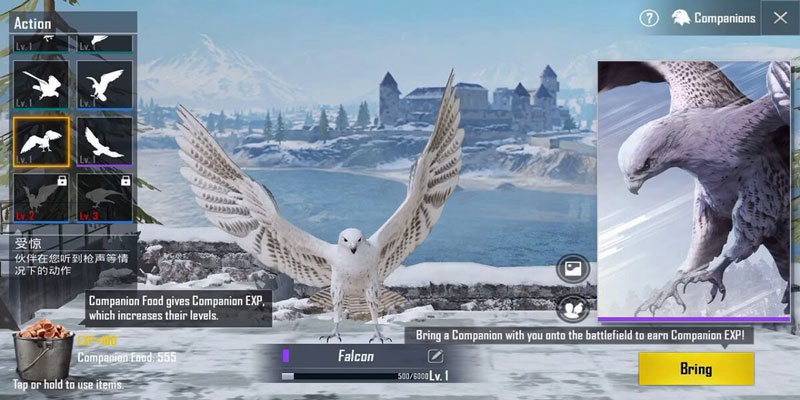 Falcon-PUBG-Cara-Memiliki