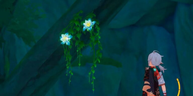 Kalpalata Lotus Genshin Impact
