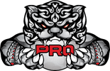 PRO Esports